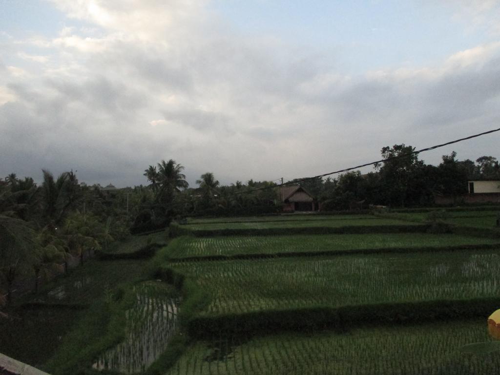 Gasthof Ancut Sari *