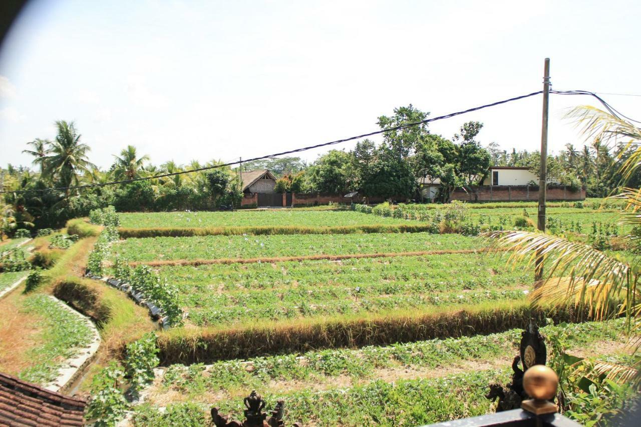 Ancut Sari Gasthof