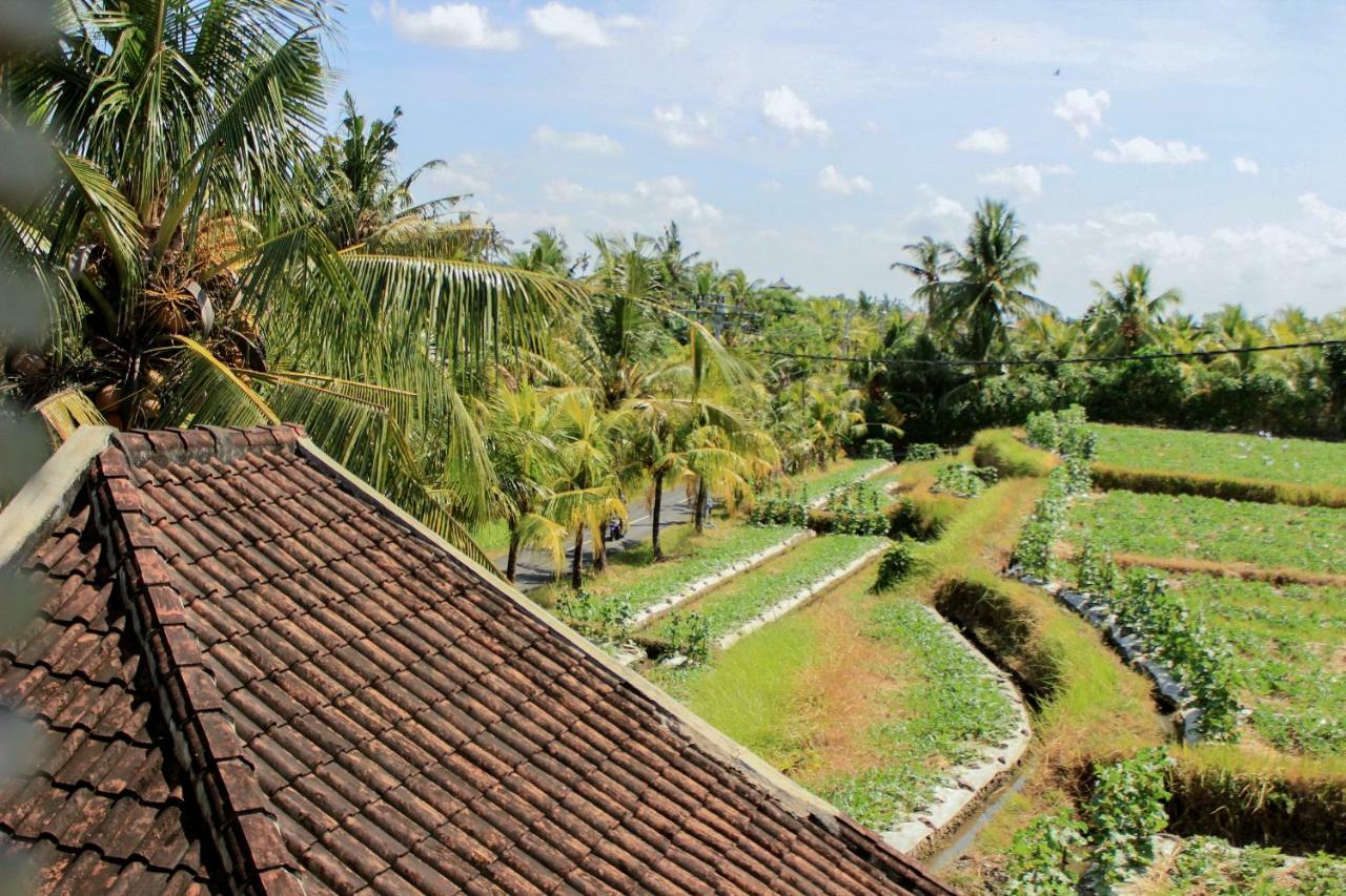 Ancut Sari Gasthof